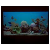 Sony VPL-EW130 WXGA Projector with HDMI Cable