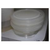 Clear Food Storage Bins and Lids