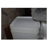 Foam Plates and Trays