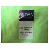 Shirts - Hanes & Gildan  Size Medium