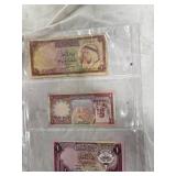 Middle Eastern Banknote Collection