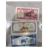 Nepalese Rupee Banknote Collection