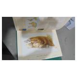 Animal Library Book of Prints