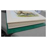 Animal Library Book of Prints