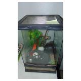 Reptile Tank with Contents