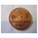 2010 COPPER LAKOTA COIN