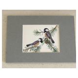 Set of 3 Matted Bird Prints