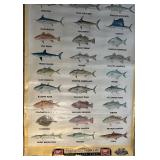 Miller High Life Vintage 1998 Freshwater & Saltwater Game Fish Commercial Vinyl Poster 36 x 65