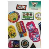 Girl Scout Patches (Lot of 89)