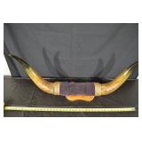 Natural Longhorn Bull Horns on Carved Wood Stand with Rope Wrap - 60 in Overall