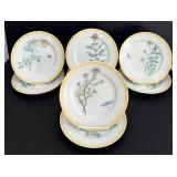 SR - Williams-Sonoma Flowering Herbs Dinner Plates - 8 1/2 in - 9-Piece Set