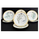 SR - Williams-Sonoma Flowering Herbs Dinner Plates - 8 1/2 in - 9-Piece Set