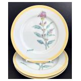 SR - Williams-Sonoma Flowering Herbs Dinner Plates - 8 1/2 in - 9-Piece Set