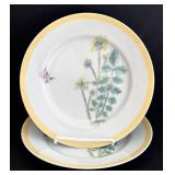 SR - Williams-Sonoma Flowering Herbs Dinner Plates - 8 1/2 in - 9-Piece Set
