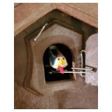 Fantastic Mid Century German Made Cuckoo Clock  has not been out of Storage box for 40+ Years