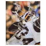 Minnesota Twins License Plate Frame, Minnesota Vikings Lanyard, Autographed Minnesota Vikings Photo, and Minnesota Wild Knit Hat