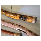 Lot of Walking Sticks and Canes