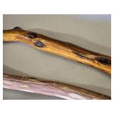 Lot of Walking Sticks and Canes