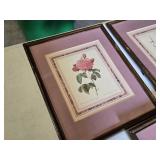 Framed Floral Prints Set including Three Rose Illustrations