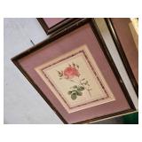 Framed Floral Prints Set including Three Rose Illustrations