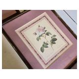 Framed Floral Prints Set including Three Rose Illustrations