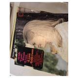 Lot of Vinyl Records Including Lynn Anderson, Ray Price, Kenny Rogers, and More