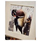 Lot of Posters and Prints including Sylvester Stallone F.I.S.T. Poster, The Decider Mission Accomplished Poster, and Nature Prints