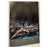 The Magic Dome in the Kingdom of Gemini - Framed Poster