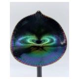 Art Glass by Steve Correia - Jack in the Pulpit Vase