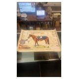 equestrian equipment poster