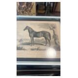mid 1800s Monmouth eclipse etching