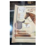 equestrian equipment poster