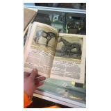 antique illustrated international stock book