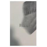 Alan f brewer jr iron liege print