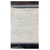 1983 Kentucky derby horse lineage chart 1780-1982