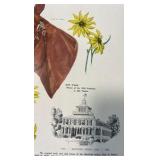 1953 the Preakness 77th running man o war menu