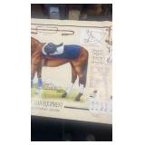 equestrian equipment poster