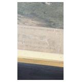 1875 HONEYMOON greyhound racing lithograph