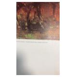 vilmon jockeys print