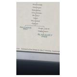 1983 Kentucky derby horse lineage chart 1780-1982