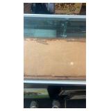 1925 Kentucky derby panoramic photograph