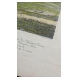 1886 finish for the derby print