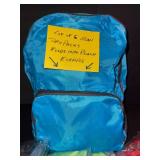 Mini Day Packs - Folds Into Pouch (Lot of 6)