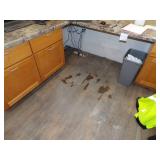 Bottom cabinets and Countertop