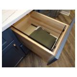 Blue Cabinets and Countertop