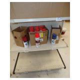 Spray Paint Cans, Box with Ridge-cap Foam