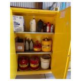 Safety Cabinet with Contents