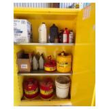 Safety Cabinet with Contents