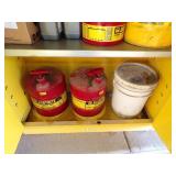 Safety Cabinet with Contents