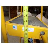 Yellow Steel Rolling Ladder